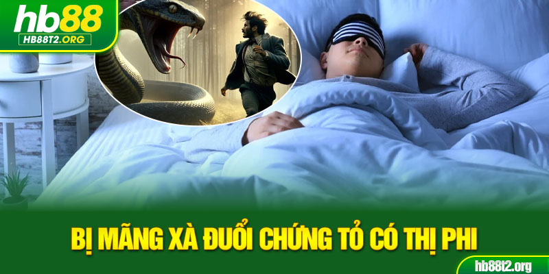 Bị mãng xà đuổi chứng tỏ có thị phi