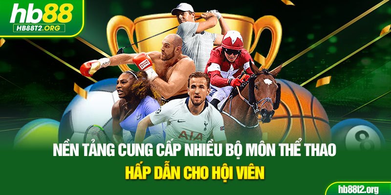Nền tảng cung cấp nhiều bộ môn thể thao hấp dẫn cho hội viên