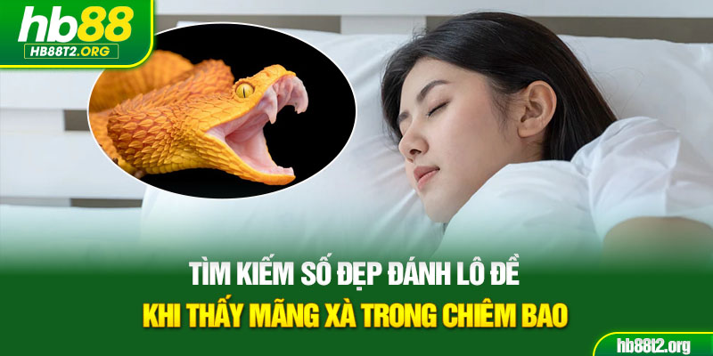 Tìm kiếm số đẹp đánh lô đề khi thấy mãng xà trong chiêm bao